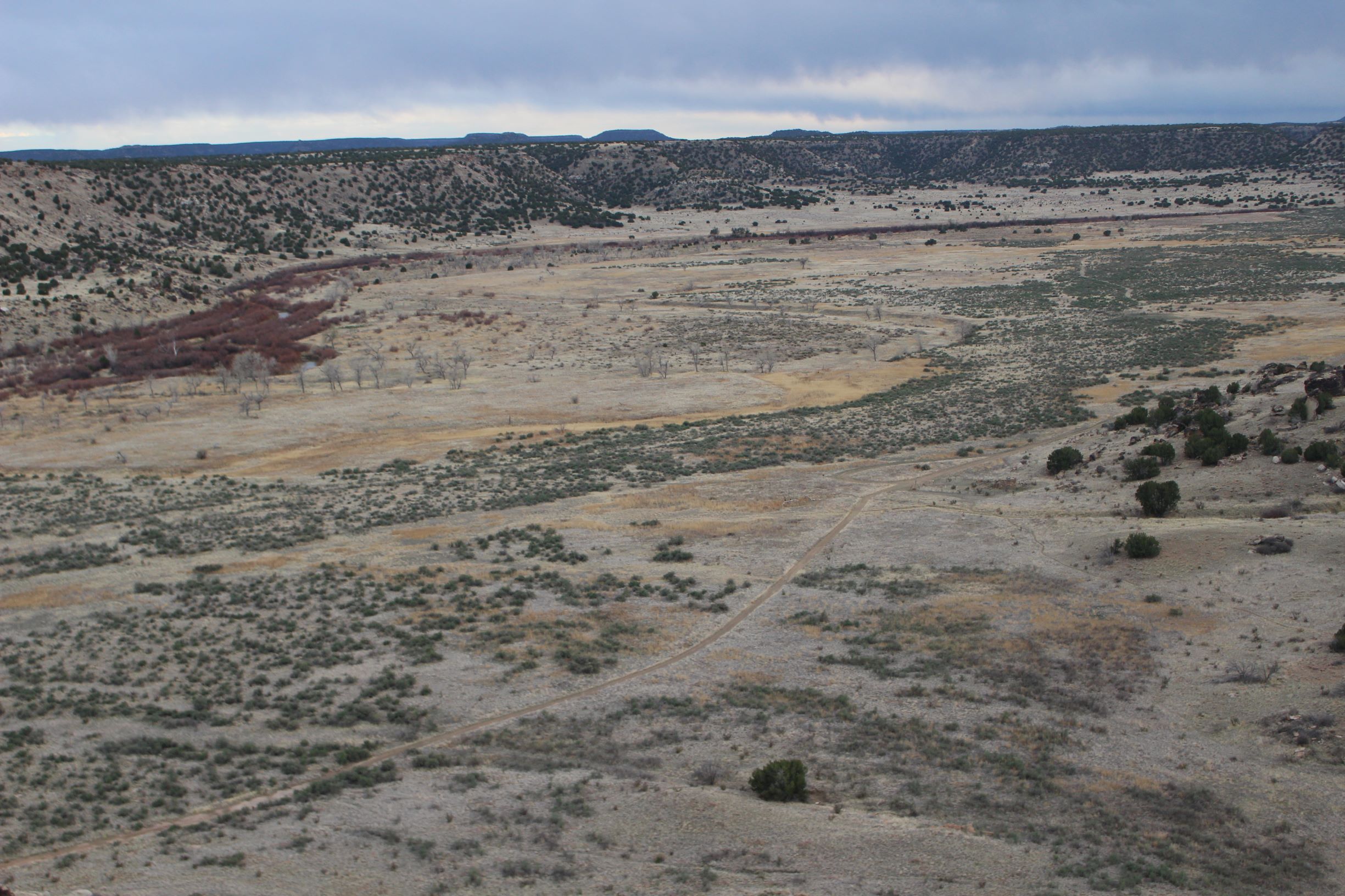 picketwire canyon dinosaur tracks seconews.org